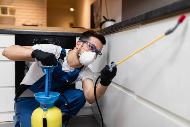 Pest Control for Restaurants in Silvis, IL