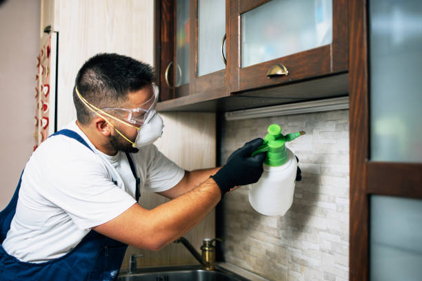 Best Emergency Pest Control  in Svis, IL