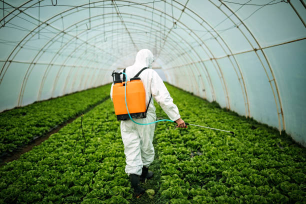 Best Affordable Pest Control Services  in Svis, IL