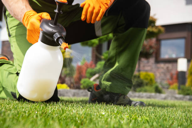 Best Best Pest Control Companies  in Svis, IL