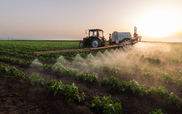 Wildlife Control Services in Silvis, IL