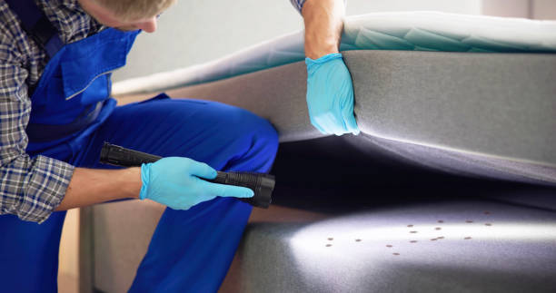 Best Local Pest Control Services  in Svis, IL