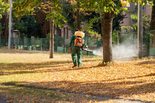 Best Pest Control Near Me  in Svis, IL