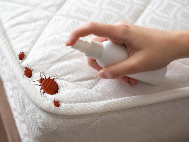 Best Pest Control Cost  in Svis, IL