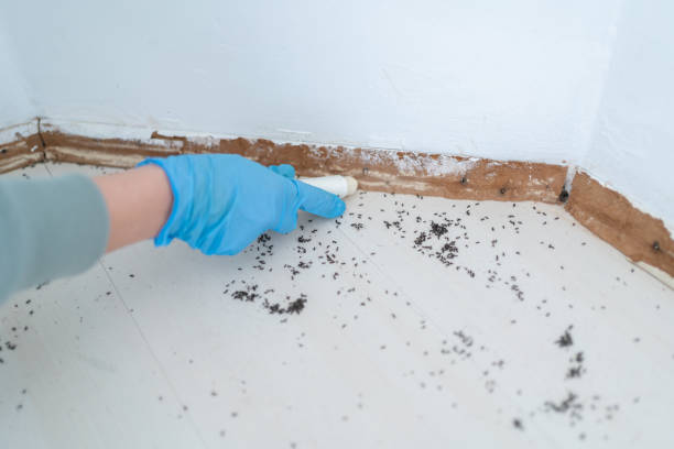 Best Affordable Exterminators  in Svis, IL